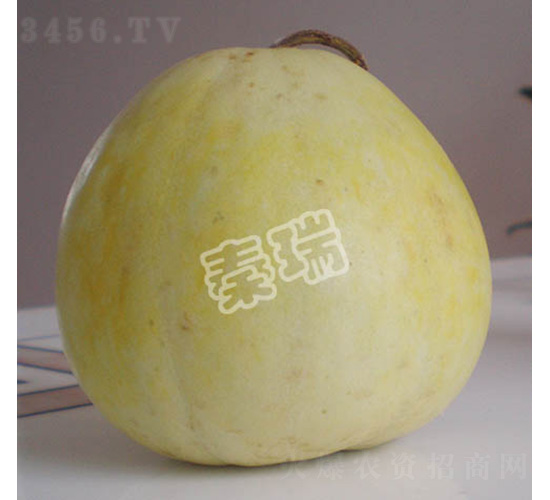 ������̖-��ϷN��-����