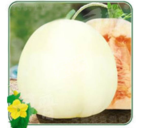 ѩ�۶�̖(h��o)-��ϷN��-����