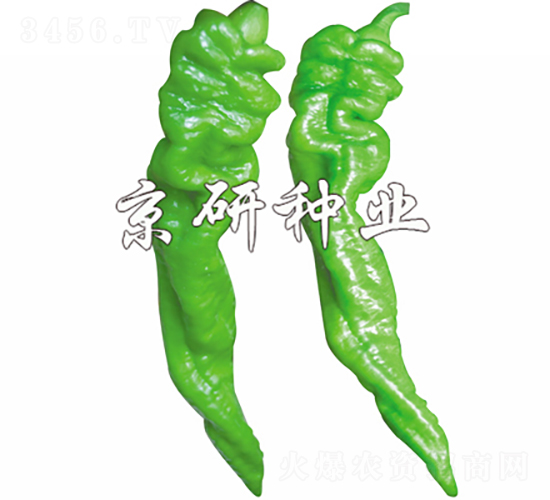 ����5̖(h��o)-�����N��-���зN�I(y��)