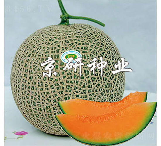 ����4̖-��ϷN��-���зN�I(y��)