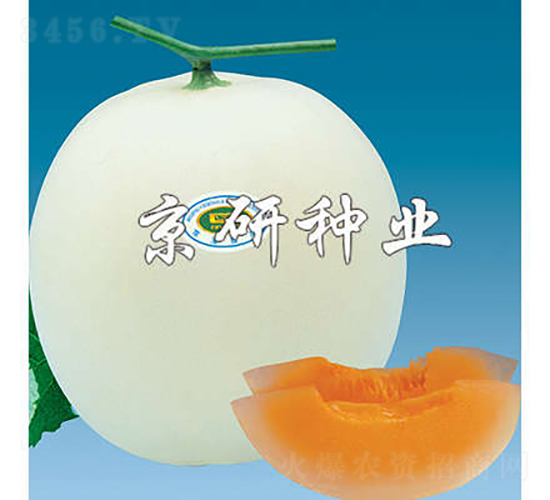 ����2̖-��ϷN��-���зN�I(y��)