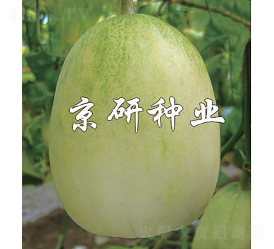 ����10̖(h��o)-��ϷN��-���зN�I(y��)