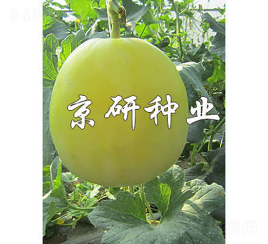 ����26-��ϷN��-���зN�I(y��)