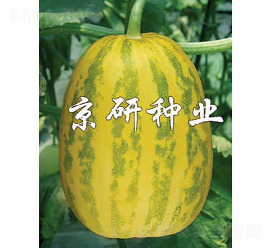 ����30-��ϷN��-���зN�I(y��)