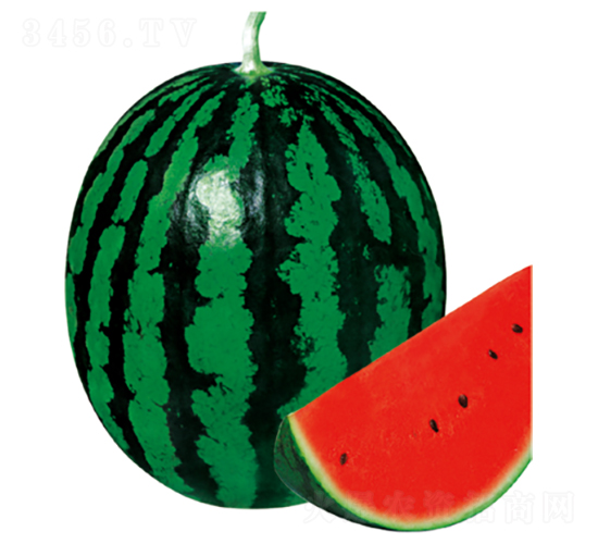 �����\��-���ϷN��-�����N�I(y��)