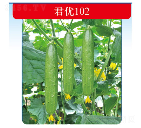 ����(y��u)102-�S�ϷN��-�����N�I(y��)