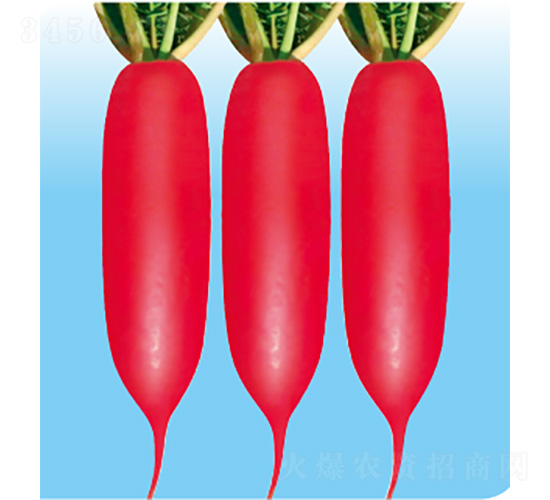 ��������-�}���N��-�����N�I(y��)