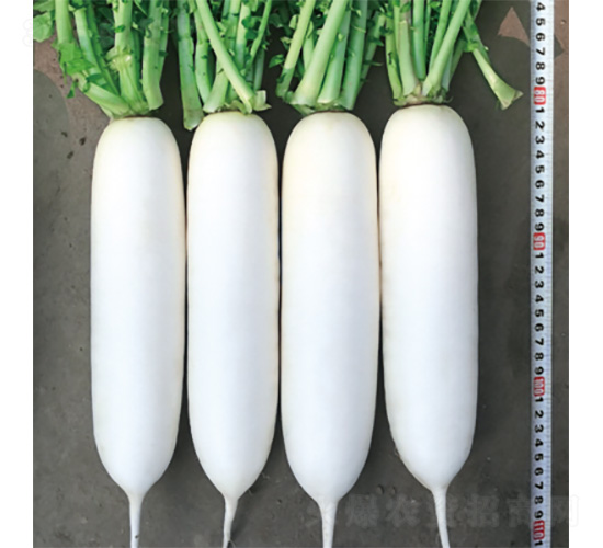 ��������-�}���N��-�����N�I(y��)