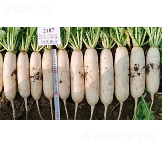 ��������-�}���N��-�����N�I(y��)