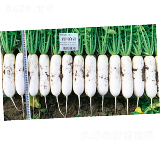 ��������-�}���N��-�����N�I(y��)