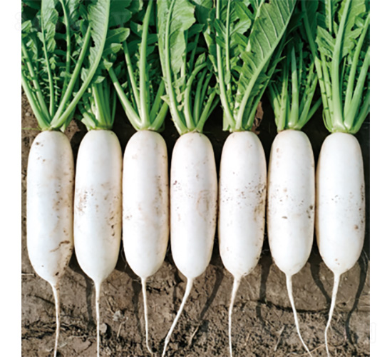 �������ď�(qi��ng)-�}���N��-�����N�I(y��)