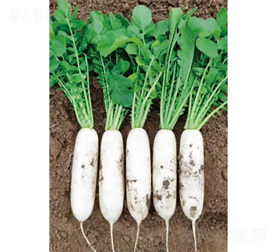 ��������(y��u)-�}���N��-�����N�I(y��)