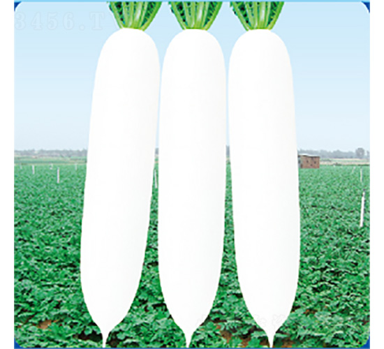 ��������-�}���N��-�����N�I(y��)