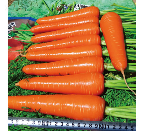 ʥ��2̖-���}���N��-�����N�I(y��)