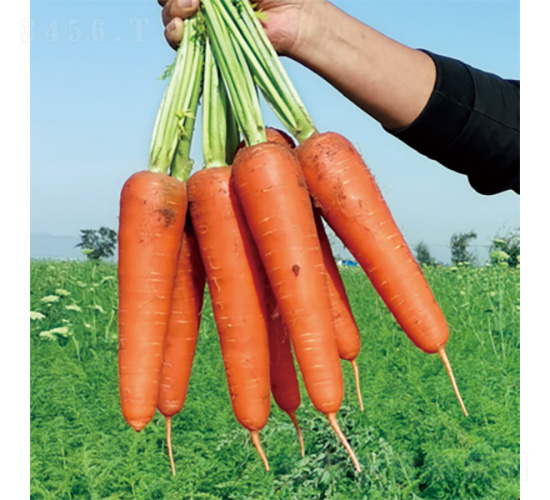 ����1̖(h��o)-���}���N��-�����N�I(y��)