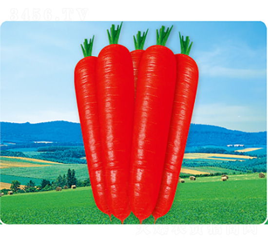 �V��3̖(h��o)-���}���N��-�����N�I(y��)