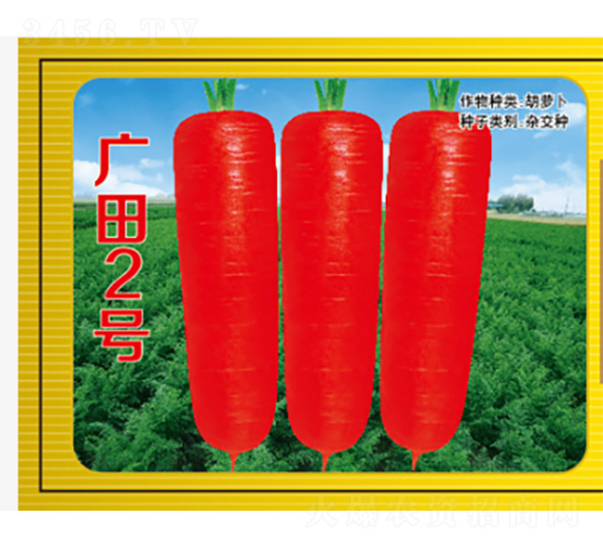 �V��2̖-���}���N��-�����N�I(y��)