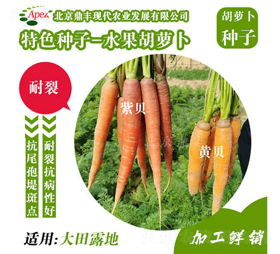 ˮ�����}��-���}���N��-���S�r(n��ng)�I(y��)