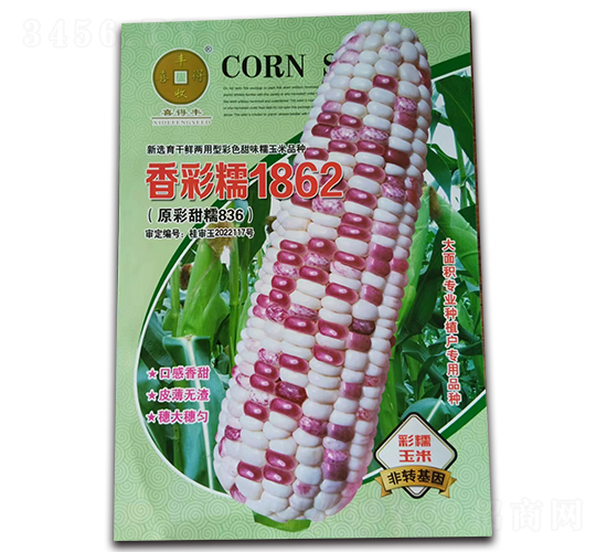 ���Ŵ1862-���׷N��-�A��N�I(y��)