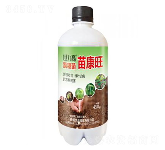 ���Ǿ�-�翵��-����������