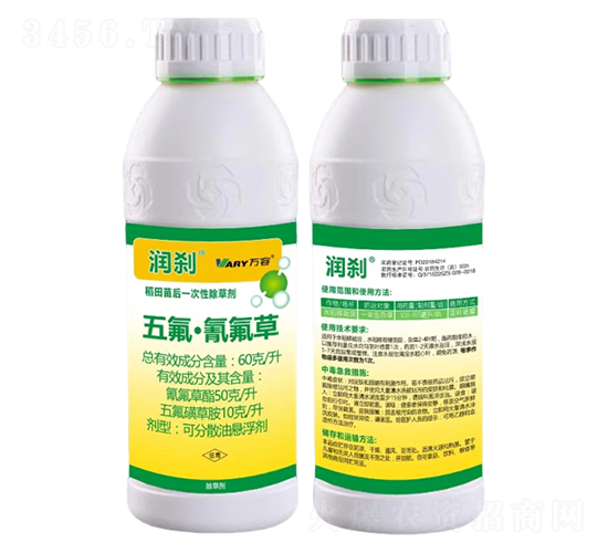 60��/������������-���x-�f��