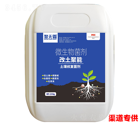 �������������ޏ�(f��)����-�۟o��