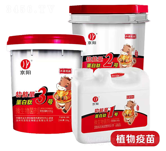 ������������΢�������-���(y��ng)