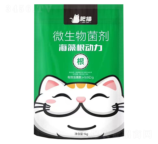 ΢�������-���������-��؈