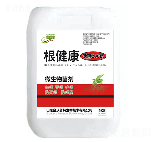 ΢�������-������-�����S-��������