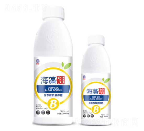 ������-��ï����