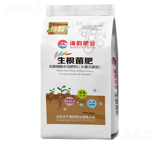 ����Ԫ���ͺ���ֲ����������-ԣ�w-�������