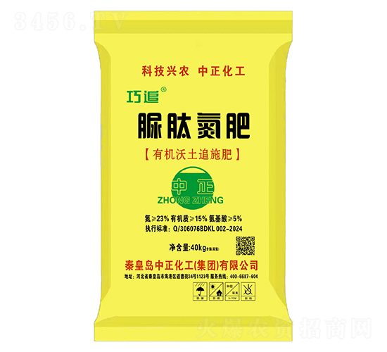 ���ĵ���-��׷-��������