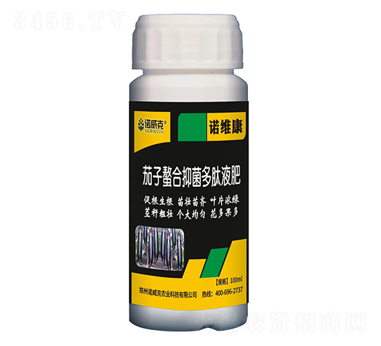 ���������־�����Һ��-�Z�S��-�Z����