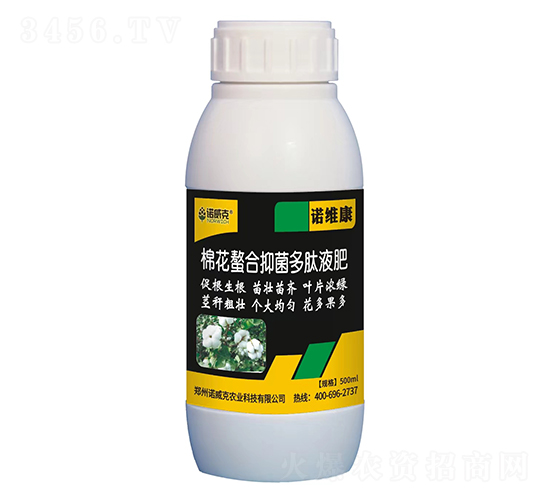 �޻������־�����Һ��-�Z�S��-�Z����