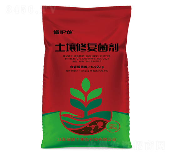 �����ޏ;���-���o��-�����S