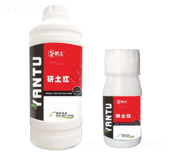 �����D(zhu��n)ɫ��-�����t-��������