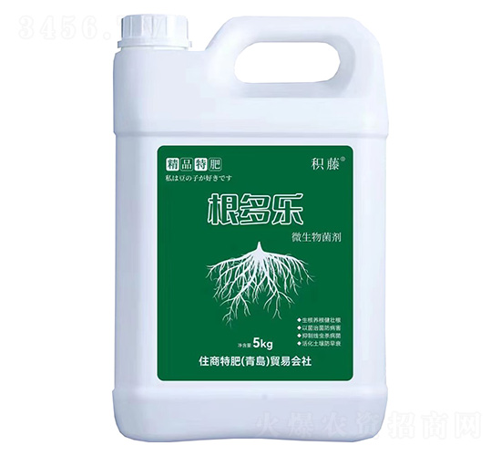 ΢�������-������-�e��-ס���ط�