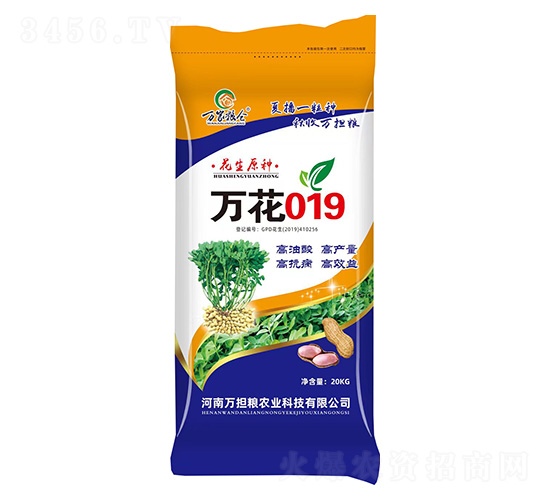 �f(w��n)��019-�����N��-�f(w��n)��(d��n)�Z