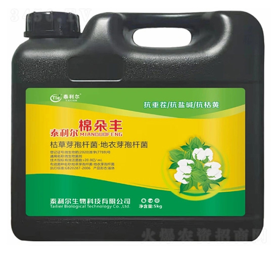 ΢�������-�޶��S-̩����