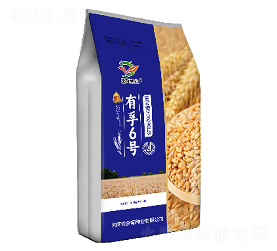 С���N��-����6̖-�h���N�I(y��)