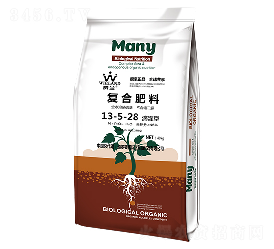 �ͺϷ���13-5-28-���m-�����D