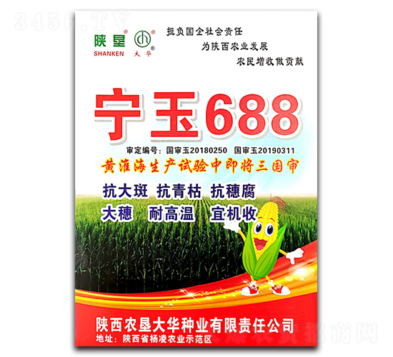 ����688-���׷N��-ꃉ����A