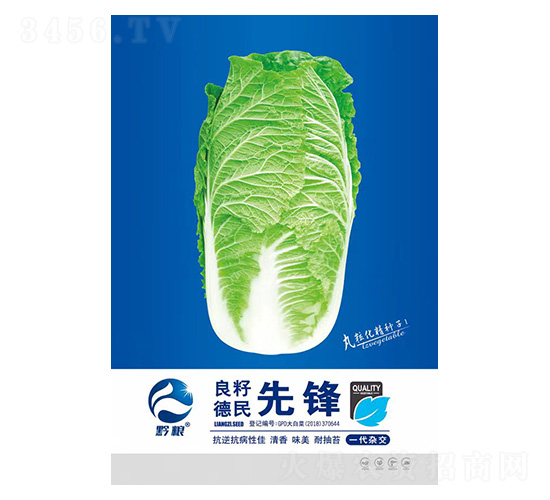 �ײ˷N��-���h-�����r�I(y��)