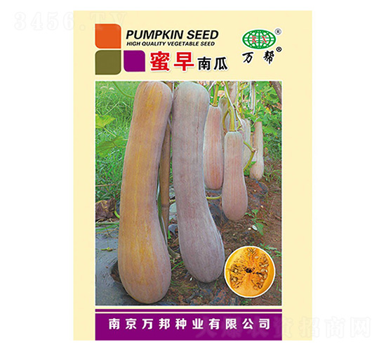 �����Ϲ�-�f(w��n)��N�I(y��)