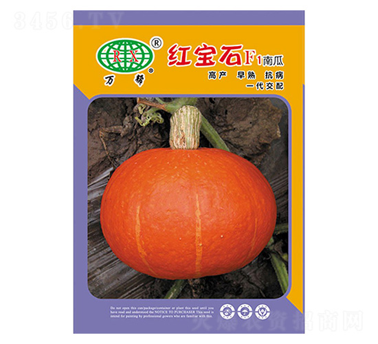 �t��ʯ-�f(w��n)��N�I(y��)