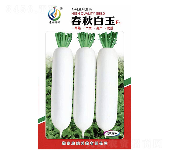 �������-�}���N��-���ؿƼ�