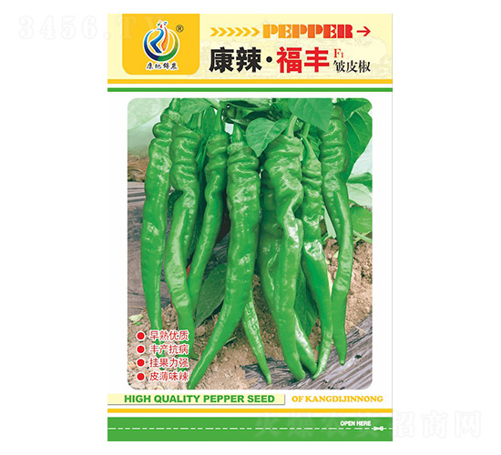 ���������S-�����N��-���ؿƼ�