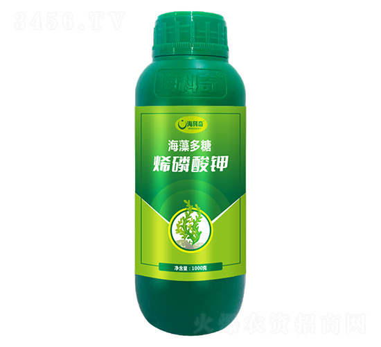 �������ϩ�����-������