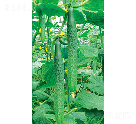 �ɶ����O��-�S�ϷN��-�͝��r�I(y��)