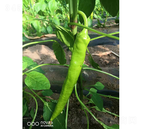 �����504-�����N��-�͝��r(n��ng)�I(y��)